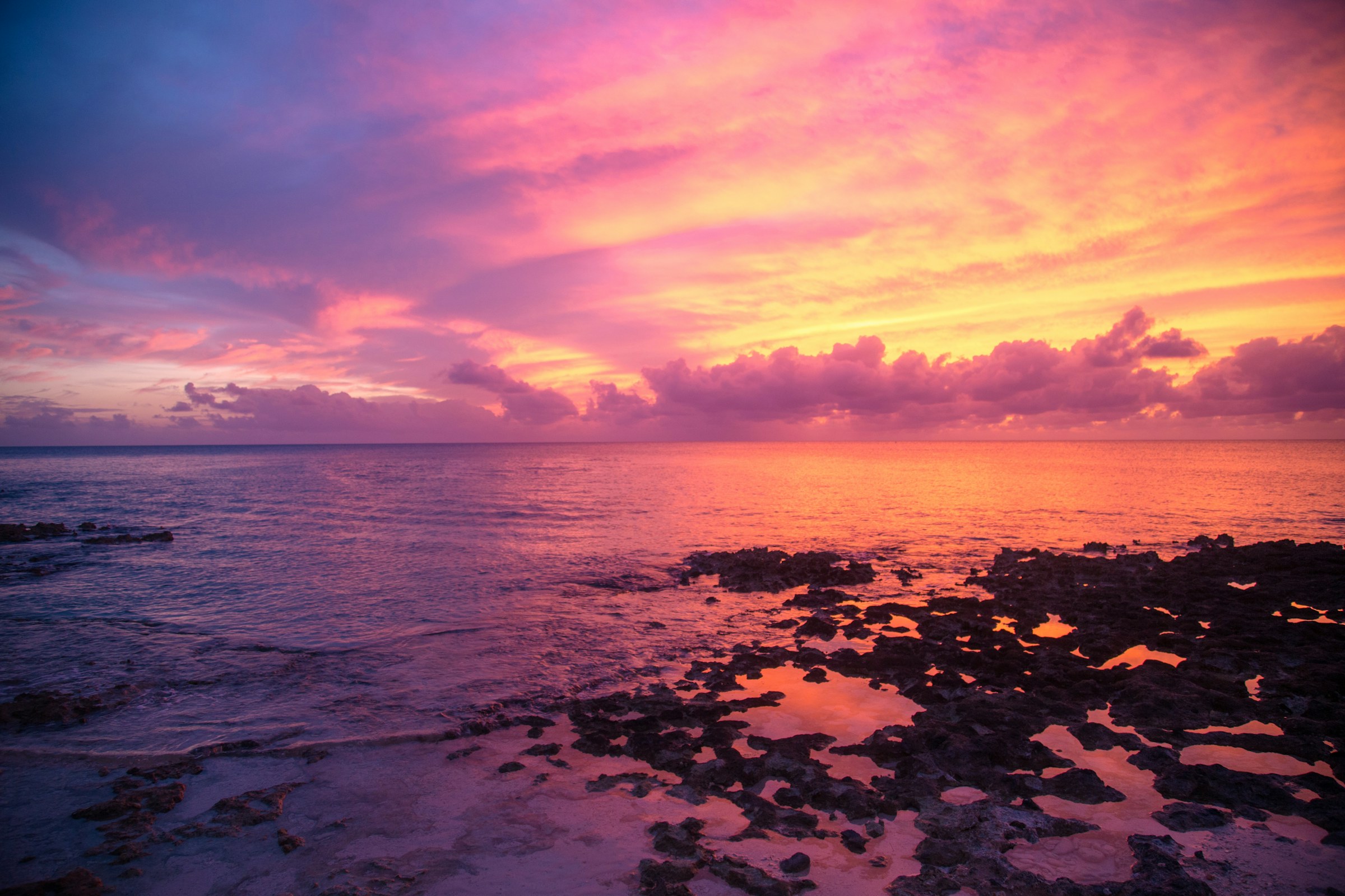 Bioluminescent Bay