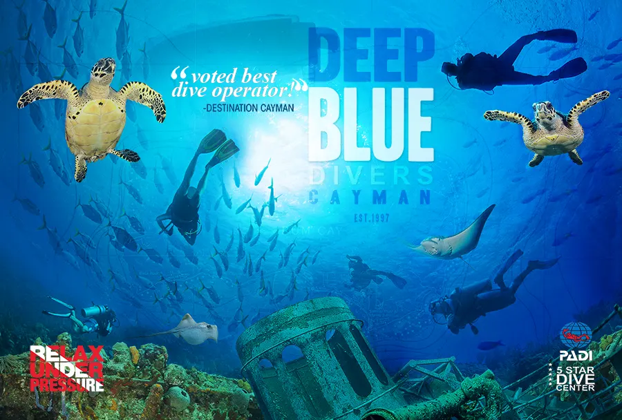 Deep Blue Divers
