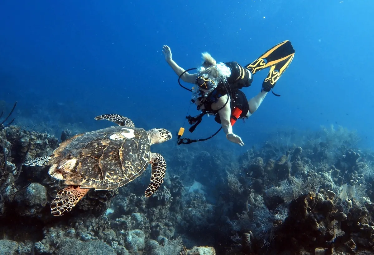 Cayman Turtle Centre